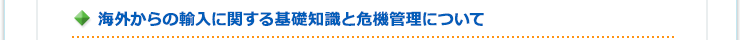 海外からの輸入に関する基礎知識と危機管理について
